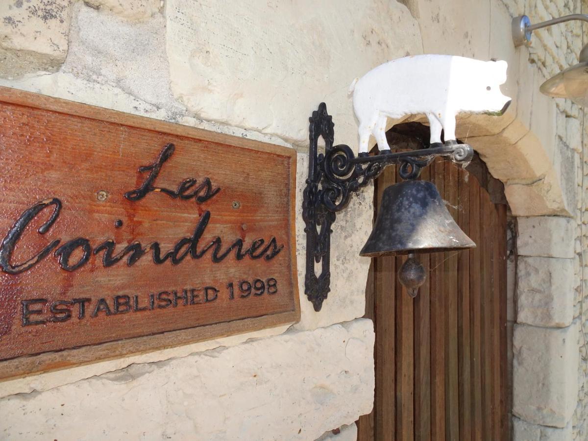 Les Coindries Villa Faye-la-Vineuse Exterior photo