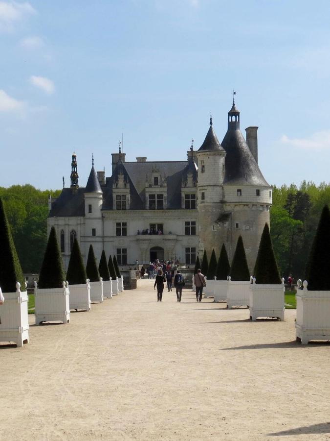 Les Coindries Villa Faye-la-Vineuse Exterior photo
